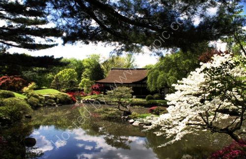 Japanese House